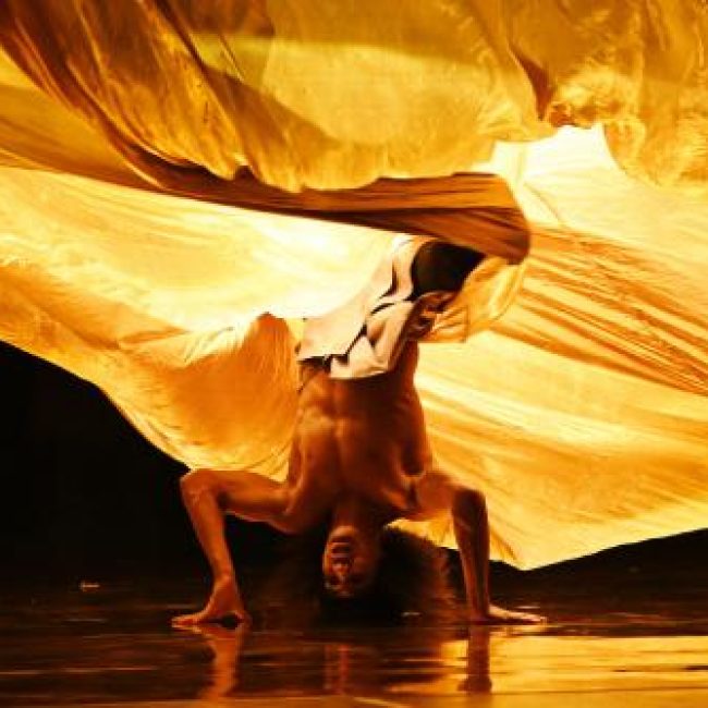 ENTREZ DANS LA DANSE – Gilles le Dilhuidy