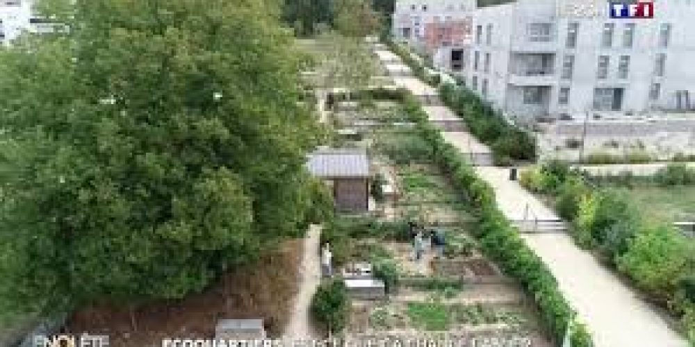 Les écoquartiers des Mureaux sur TF1